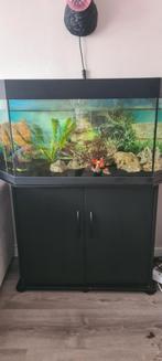 Mooi aquarium met pomp., Ophalen, Zo goed als nieuw, Leeg aquarium