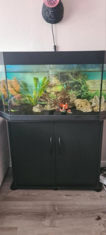 Mooi aquarium met pomp. beschikbaar voor biedingen