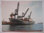 L09 Ansichtkaart Containerschip Nedlloyd Clarence, Verzenden, Zo goed als nieuw, Motorboot, Kaart, Foto of Prent