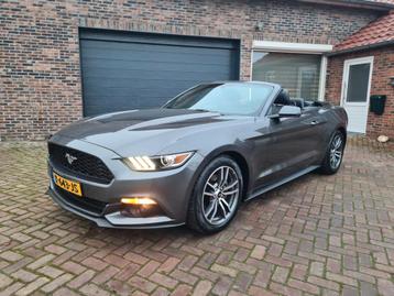 Ford mustang cabriolet 2.3 ecoboost autom nieuwst full optio beschikbaar voor biedingen