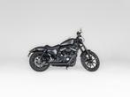 Harley-Davidson IRON 883 (bj 2019), Motoren, Motoren | Harley-Davidson, Bedrijf, 883 cc, Overig, Laan van Vredenoord 33
2289 DA  Rijswijk ZH, NL