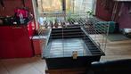 Cavia kooi, Dieren en Toebehoren, Knaagdieren en Konijnen | Hokken en Kooien, Minder dan 60 cm, Kooi, Ophalen of Verzenden, 75 tot 110 cm