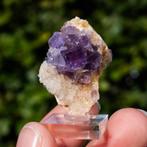 fluoriet uit berbes #10, Ophalen of Verzenden, Mineraal