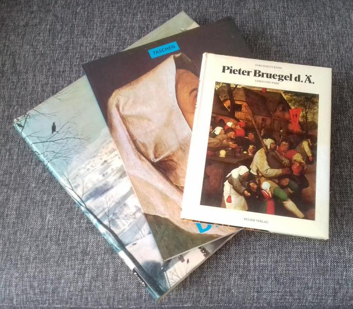 Pieter Brueghel/Bruegel/Breughel - 3 boeken, Boeken, Kunst en Cultuur | Beeldend, Gelezen, Schilder- en Tekenkunst, Ophalen of Verzenden