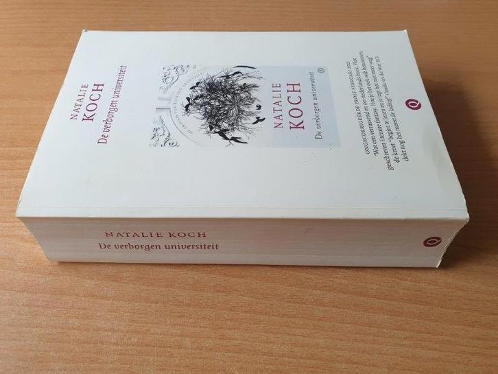 Natalie Koch - De Verborgen Universiteit (leesproef), Boeken, Fantasy, Gelezen, Ophalen of Verzenden