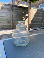 Terrarium ecosysteem vaas, Ophalen, Overige kleuren, Minder dan 50 cm, Glas