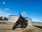 Yamaha MT-09, Motoren, Particulier, Naked bike