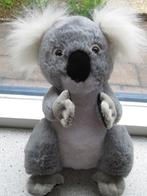 Koalabeer koala beer uit Duitsland wit pluche plukken bij de, Kinderen en Baby's, Beer, Zo goed als nieuw, Verzenden