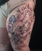 Tattoo, Ophalen, Nieuw