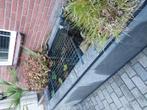 opbouw vijver, Tuin en Terras, Vijvers, Ophalen, Gebruikt