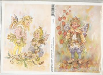 B37 knipvel faerie poppies 99083/8 beschikbaar voor biedingen