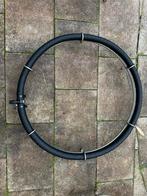 Japanse luchtring 50cm, Dieren en Toebehoren, Karper of Koi