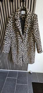 Dames winterjas in panterprint van Costes, Overige kleuren, Zo goed als nieuw, Costes, Ophalen