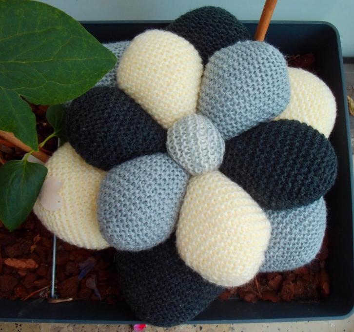 Zwart / beige sierkussen 38 bij 17 cm 50% korting Op =op!, Hobby en Vrije tijd, Breien en Haken, Nieuw, Breien, Overige typen