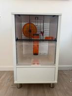 Hamsterkooi of kooi klein knaagdier, Dieren en Toebehoren, Kooi, Gebruikt, Minder dan 75 cm, Muis