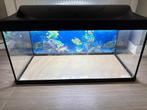 Aquarium 60 liter, Dieren en Toebehoren, Vissen | Aquaria en Toebehoren, Ophalen of Verzenden, Zo goed als nieuw, Verlichting of Verwarming