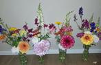 verse bloemen, Dahlia, zinnia, leeuwenbekjes e.d., Ophalen, Nieuw