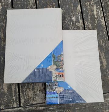 Schildersdoeken 2x 2st 30 X 40cm van ARTIST. beschikbaar voor biedingen