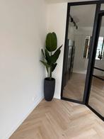 Kunstplant (zonder pot), Huis en Inrichting, Woonaccessoires | Kunstplanten en Kunstbloemen, Ophalen, Zo goed als nieuw, Binnen