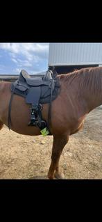 Edix Tequiro maat M - 2024, Dieren en Toebehoren, Paarden en Pony's | Zadels, Verzenden, Zo goed als nieuw, Recreatie