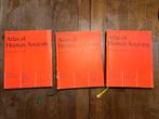 Sobotta/Becher Anatomie Atlas Vol. 1-3, Ophalen of Verzenden, Beta, Gelezen, WO