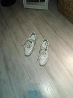 Dsquared schoenen, Ophalen, Dsquared2, Wit, Sneakers of Gympen