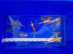 Koi selected A 18-20cm, Karper of Koi