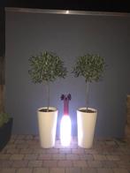 Glazen Pelikaan Mooiglas Leerdam - Nieuw, Ophalen, Nieuw, Glas, Minder dan 100 cm