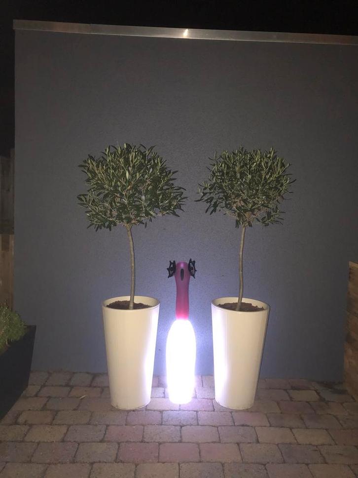 Glazen Pelikaan Mooiglas Leerdam - Nieuw, Huis en Inrichting, Lampen | Vloerlampen, Nieuw, Minder dan 100 cm, Glas, Ophalen