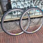 Campagnolo 8 speed wielset Rigida dp18 velgen, Wiel, Gebruikt, Campagnolo, Racefiets