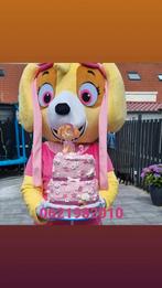 Mascotte pak van sky te huur, Ophalen of Verzenden, Zo goed als nieuw, Overige