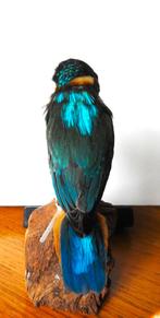 ijsvogel, Ophalen of Verzenden, Zo goed als nieuw