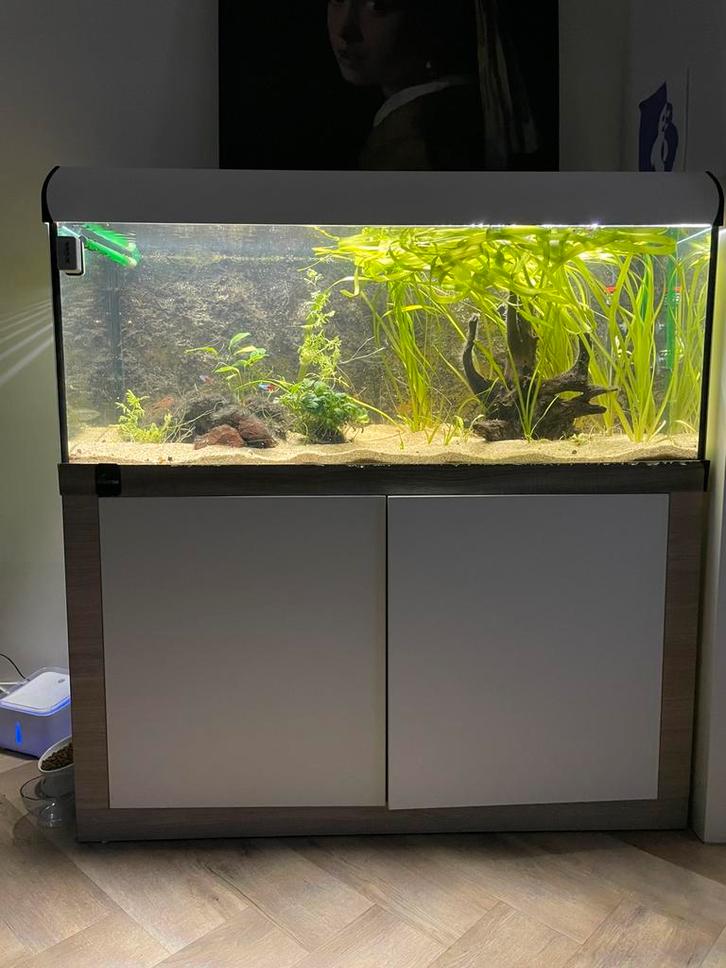 Aquarium incl. meubel 280 L, Dieren en Toebehoren, Vissen | Aquaria en Toebehoren, Gebruikt, Gevuld zoetwateraquarium, Ophalen