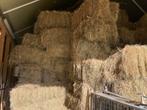 Hooi kleine balen nog 25 stuks beschikbaar., Dieren en Toebehoren, Ophalen, Vee