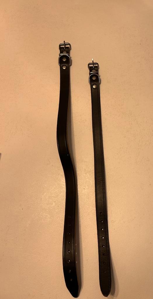 Honden halsband bruin leer, Dieren en Toebehoren, Hondenhalsbanden en Penningen, Nieuw, Ophalen of Verzenden