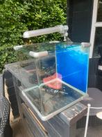Mooi Aqarium €25,00, Dieren en Toebehoren, Ophalen of Verzenden, Gebruikt