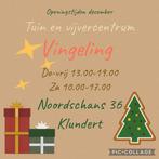 kerstboom,nordman,picea,glauce, Ophalen, Overige soorten