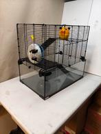 Aangeboden Nieuwe Hamsterkooi, Kooi, Ophalen, Minder dan 60 cm, Minder dan 75 cm