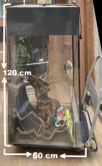 terrarium beschikbaar voor biedingen