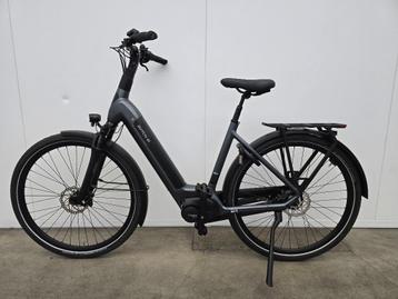 Dutch ID Infinity Dames 54 CM nieuw! beschikbaar voor biedingen