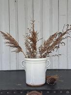 Zeer oude Italiaanse Confit - Sardientjes Pot, Ophalen of Verzenden