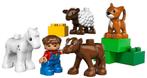 Duplo 5646 Dierenverzorging, Kinderen en Baby's, Speelgoed | Duplo en Lego, Complete set, Duplo, Gebruikt, Ophalen of Verzenden