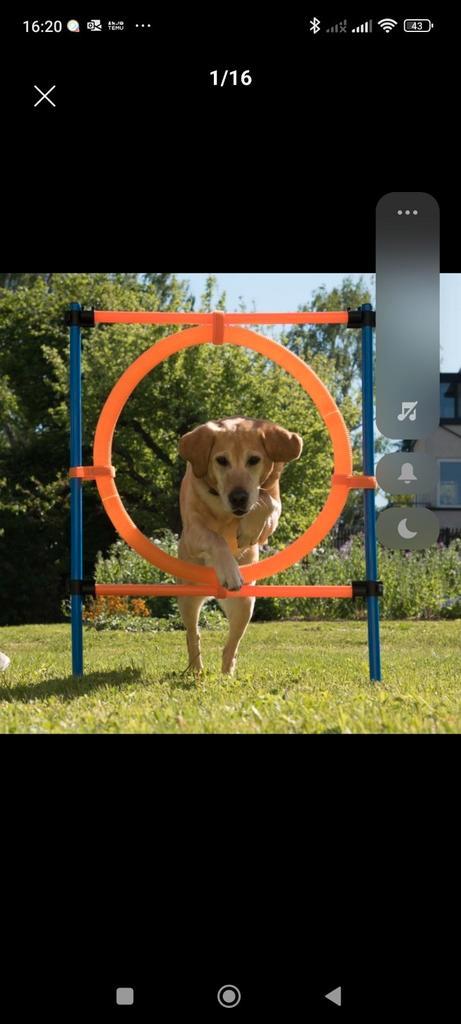 Nieuwe Romeo Agility springring, Dieren en Toebehoren, Hondenspeelgoed, Nieuw, Behendigheidspeelgoed, Ophalen of Verzenden