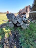 Droge taxus stammen, Ophalen