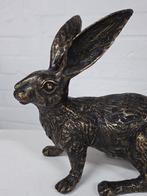 HAAS  / bronzen tuinbeeld / brons, Dierenbeeld, Nieuw, Info@huisentuindecoratiemarie.nl, Huis en tuin decoratie marie