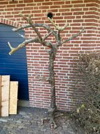 Grote java boom, Dieren en Toebehoren, Ophalen, Zo goed als nieuw, Speelgoed