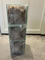 Bladsnijdersmieren set (formicarium), Ophalen of Verzenden, Nieuw, Terrarium of Paludarium