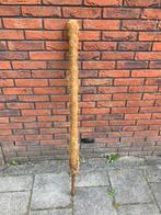 Mosstok, Huis en Inrichting, Kamerplanten, Ophalen of Verzenden, Halfschaduw, Minder dan 100 cm