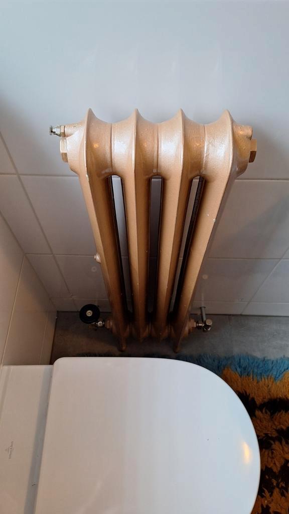 Strakke gietijzeren radiator, Doe-het-zelf en Verbouw, Verwarming en Radiatoren, Gebruikt, Radiator, 80 cm of meer, Minder dan 60 cm