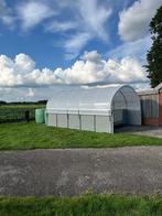 Groepshuisvesting kaveren, Dieren en Toebehoren, Meerdere dieren